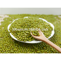 ALIBABA USED EXCLUSIVELY Green mung beans(GF2)